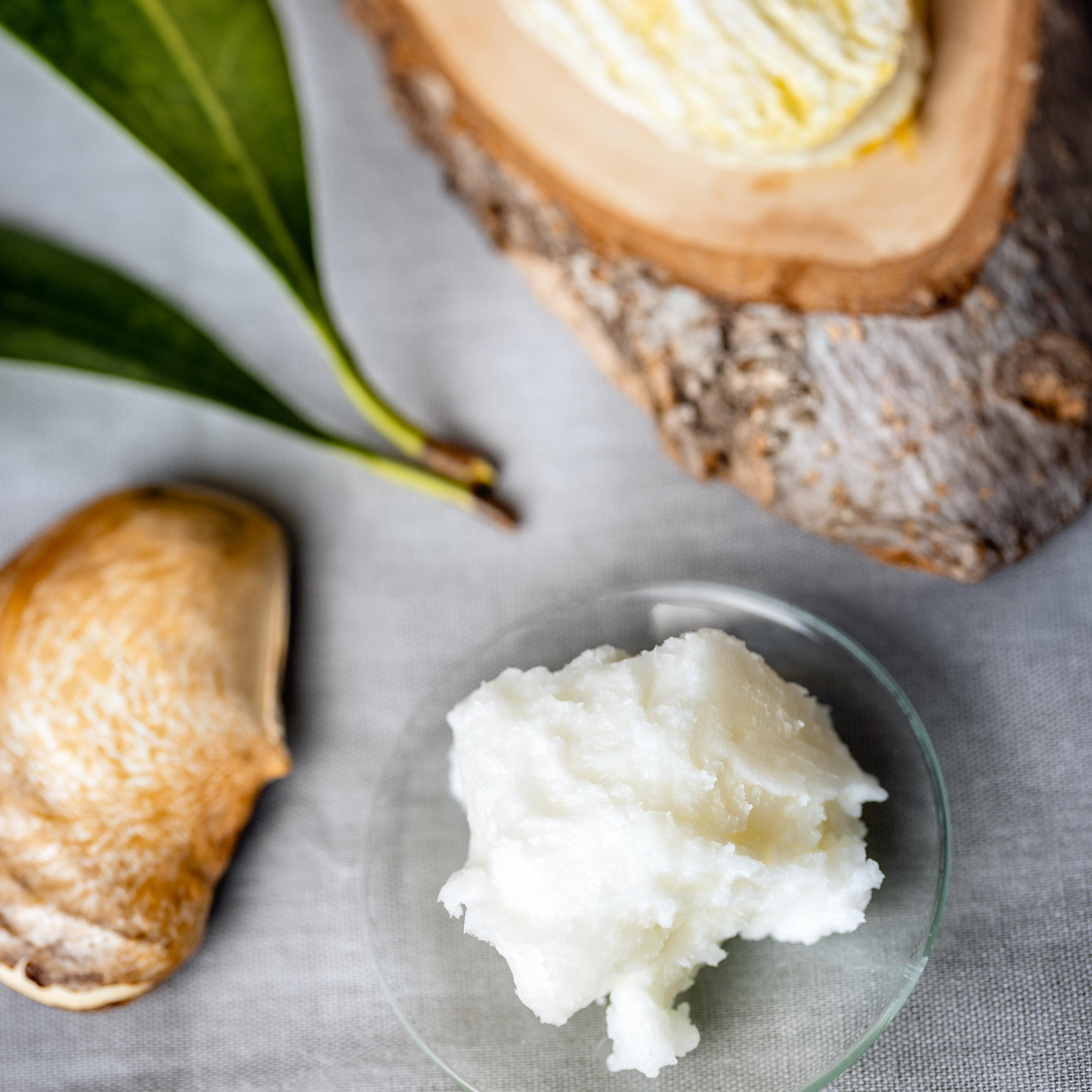 <span class="ezstring-field">kl_hair_mango_picture_active ingredients_2020_img19</span>